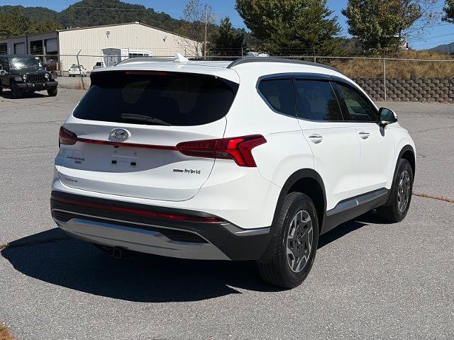 Used 2023 Hyundai Santa Fe Blue AWD/4WD image 3
