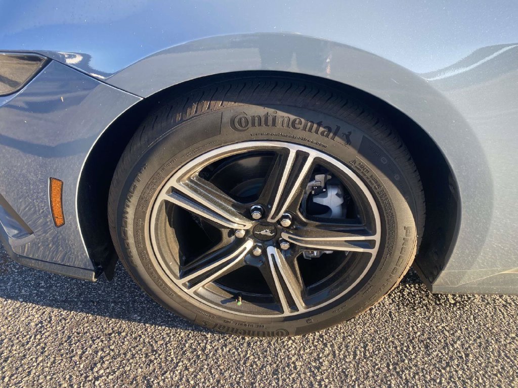 Certified 2025 Ford Mustang Coupe RWD image 4