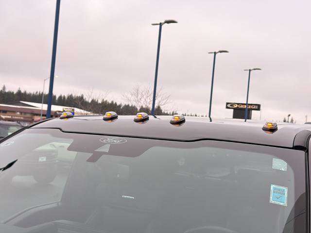 Certified 2025 Ford F350 Platinum image 5