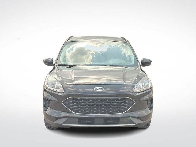 Certified 2021 Ford Escape SE w/ Convenience Package FWD image 3