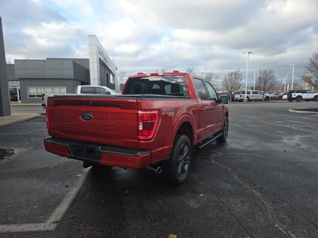 Certified 2023 Ford F150 XLT w/ Equipment Group 302A High image 6