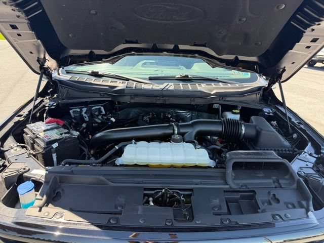 Certified 2024 Ford F150 XLT w/ Equipment Group 303A High AWD/4WD image 22