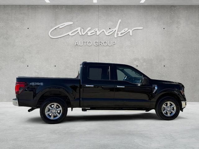 Certified 2025 Ford F150 XLT w/ Equipment Group 301A Standard image 6