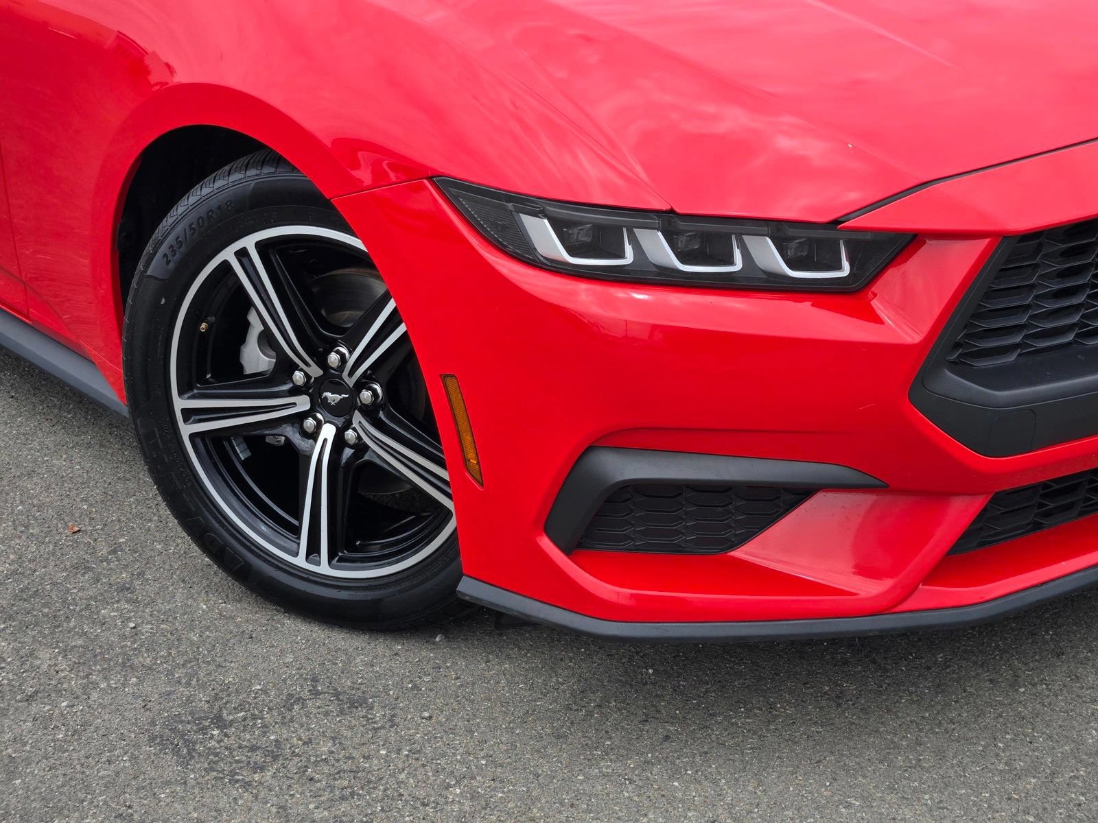Certified 2024 Ford Mustang Premium RWD image 9