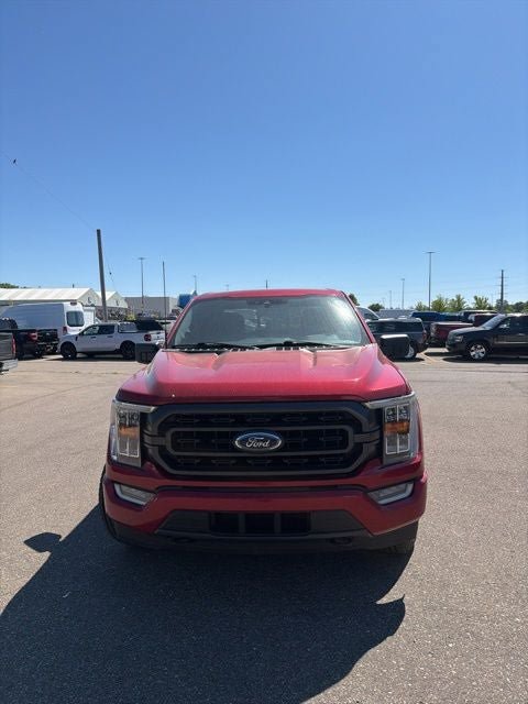 Certified 2021 Ford F150 XLT w/ Equipment Group 302A High AWD/4WD image 6