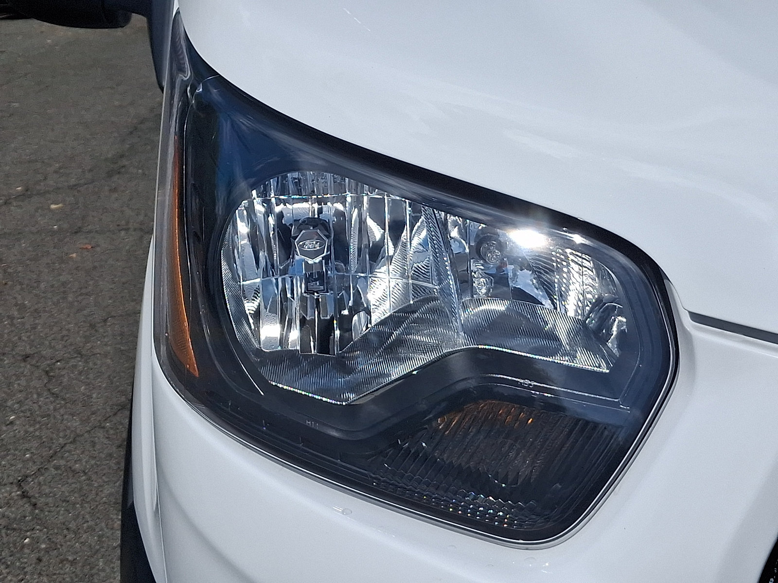 Certified 2025 Ford Transit 250 Low Roof w/ Exterior Upgrade Package RWD image 10