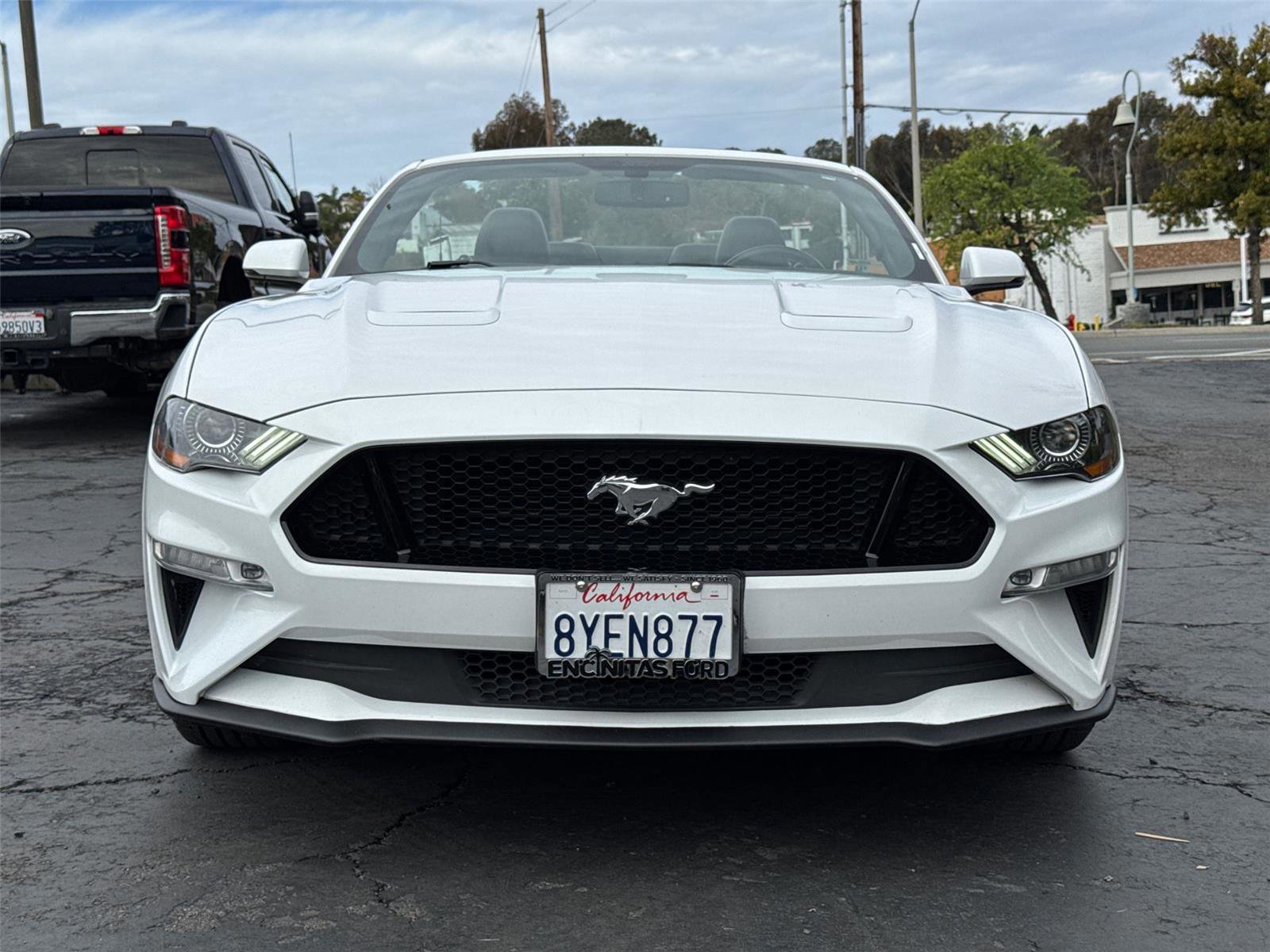 Certified 2019 Ford Mustang GT Premium image 8