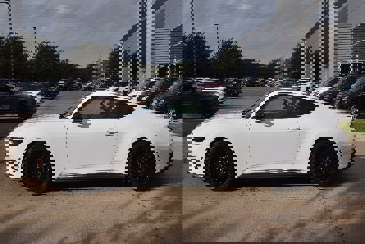 Certified 2025 Ford Mustang Premium w/ Mustang Nite Pony Package image 12