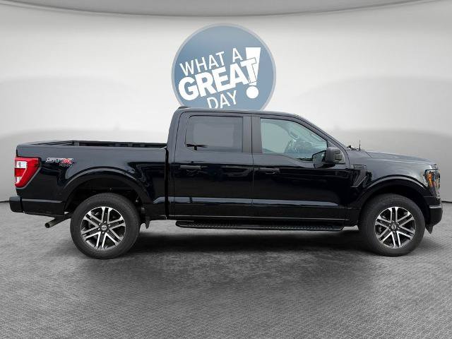 Certified 2023 Ford F150 XL w/ STX Appearance Package AWD/4WD image 2
