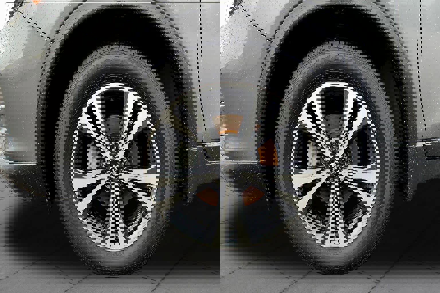 Used 2019 Nissan Rogue SV w/ Premium Package image 13