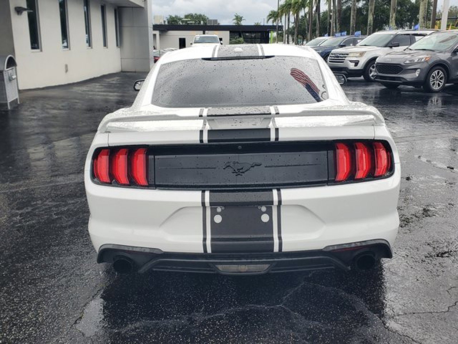 Certified 2019 Ford Mustang Coupe w/ Ecoboost Performance Package RWD image 4