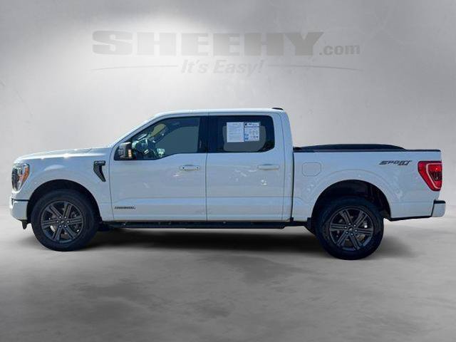 Certified 2023 Ford F150 XLT w/ Equipment Group 302A High AWD/4WD image 15