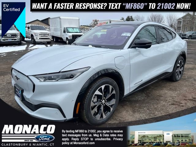 Certified 2022 Ford Mustang Mach-E Premium image 1