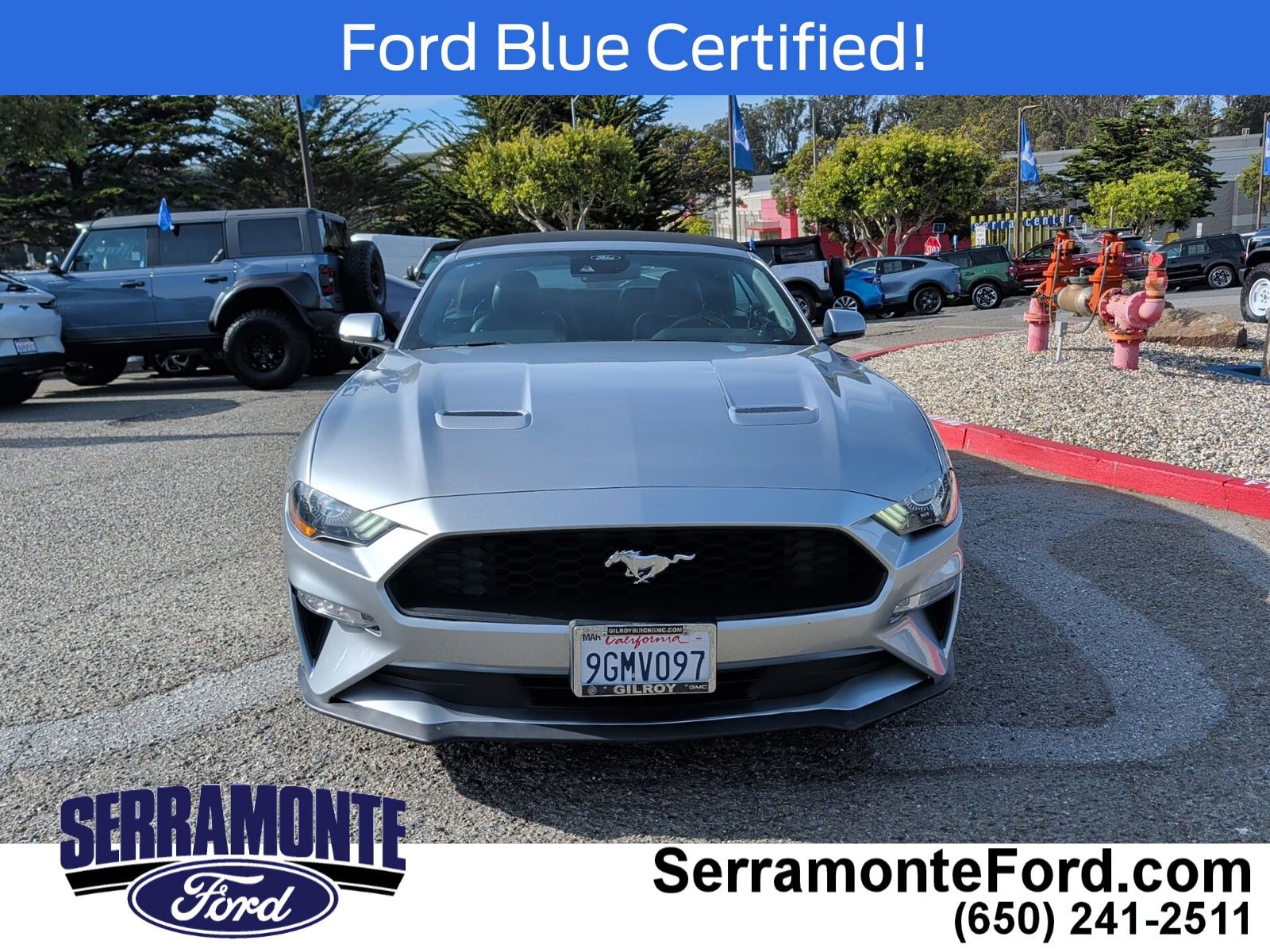 Certified 2021 Ford Mustang Premium image 2