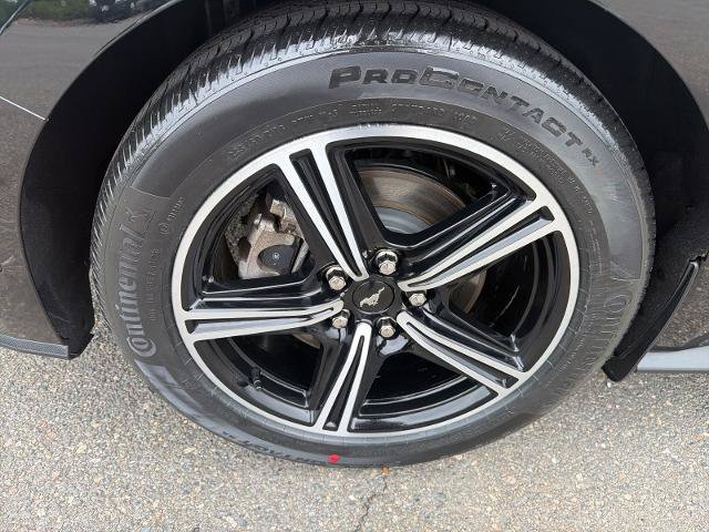 Certified 2024 Ford Mustang Coupe RWD image 22