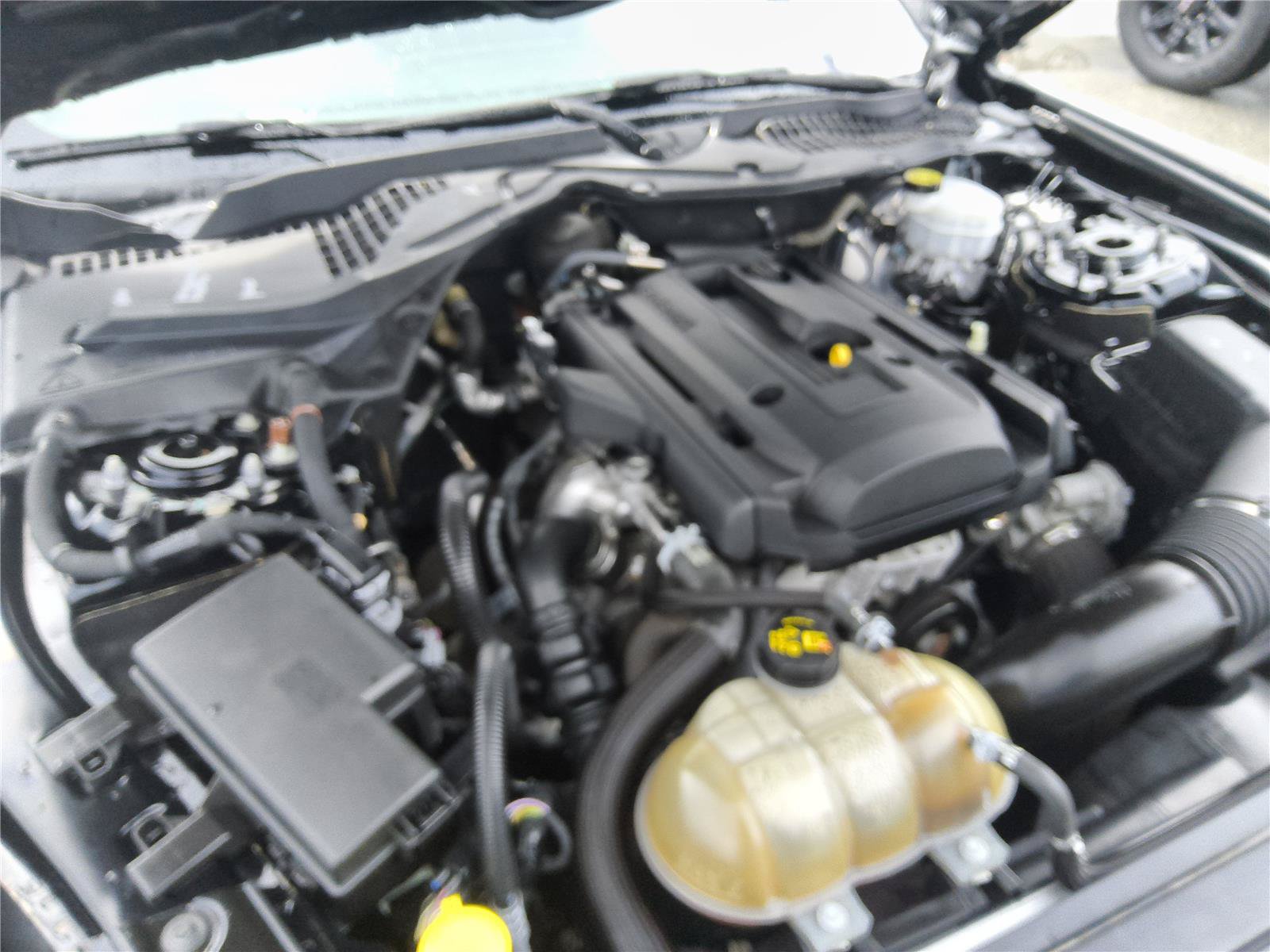 Certified 2019 Ford Mustang Coupe w/ Equipment Group 101A RWD image 12