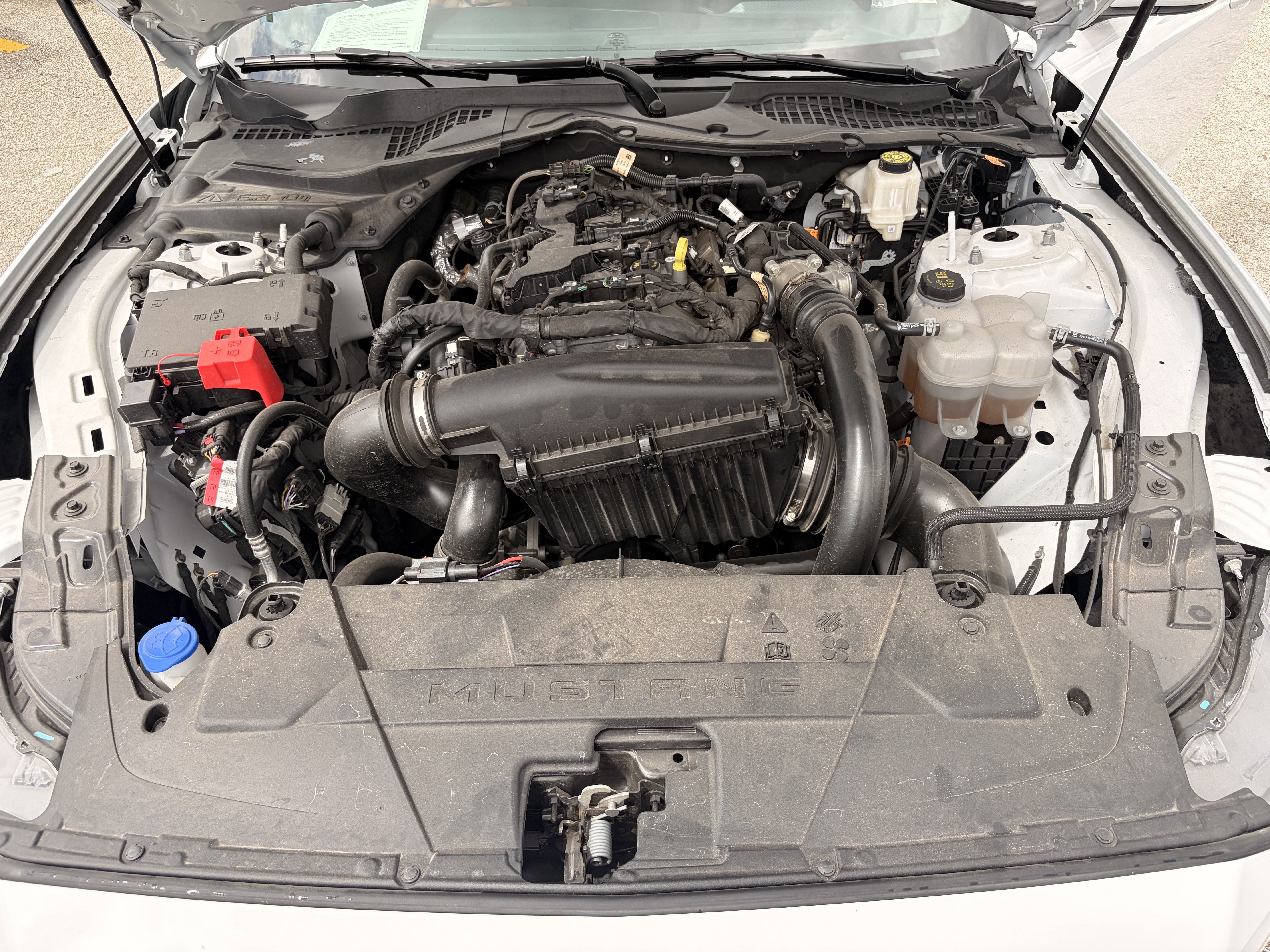Certified 2025 Ford Mustang Coupe RWD image 20
