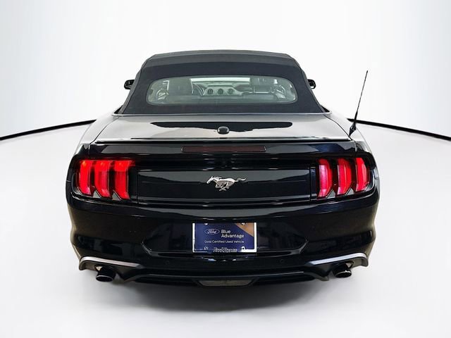 Certified 2023 Ford Mustang Premium RWD image 19