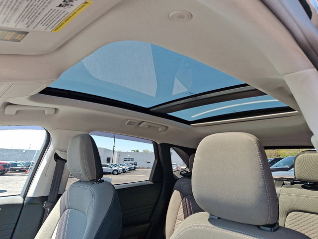 Certified 2022 Ford Escape SE w/ SE Sport Appearance Package image 14