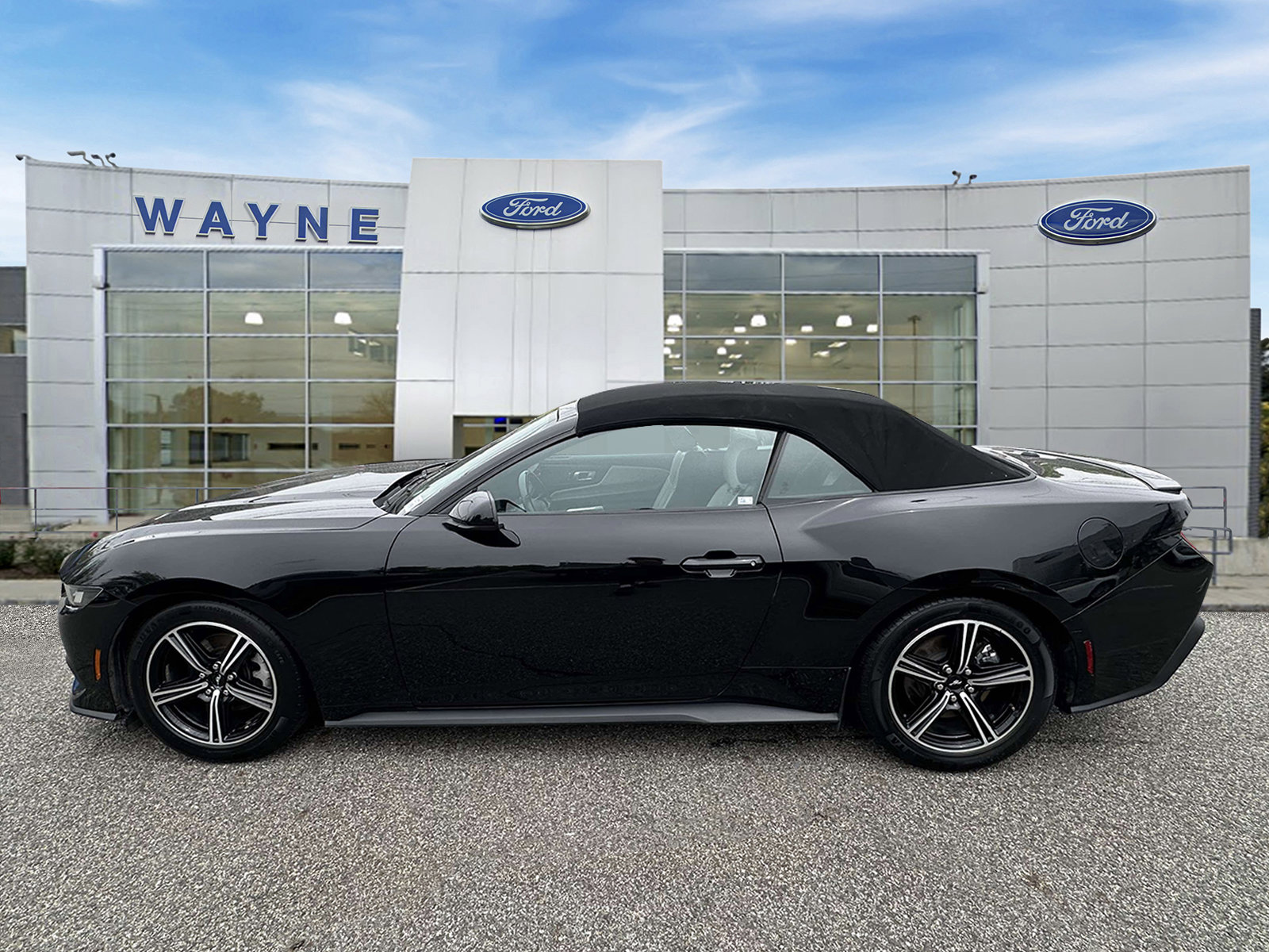 Certified 2024 Ford Mustang Premium RWD image 7