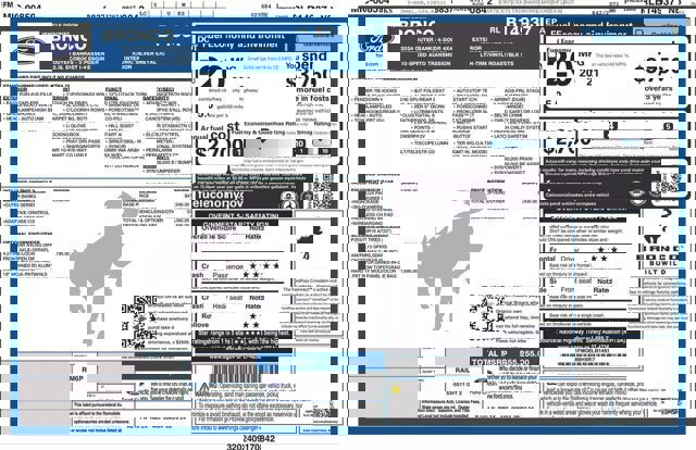 Certified 2024 Ford Bronco Outer Banks image 11