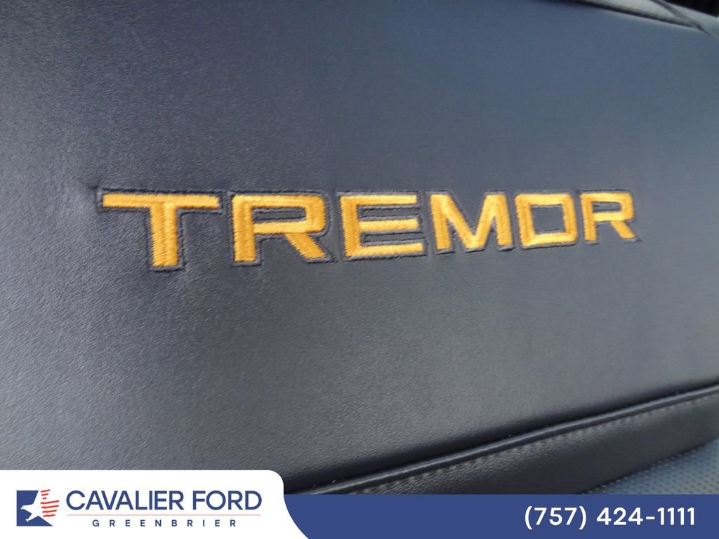 Certified 2025 Ford Expedition Tremor AWD/4WD image 20