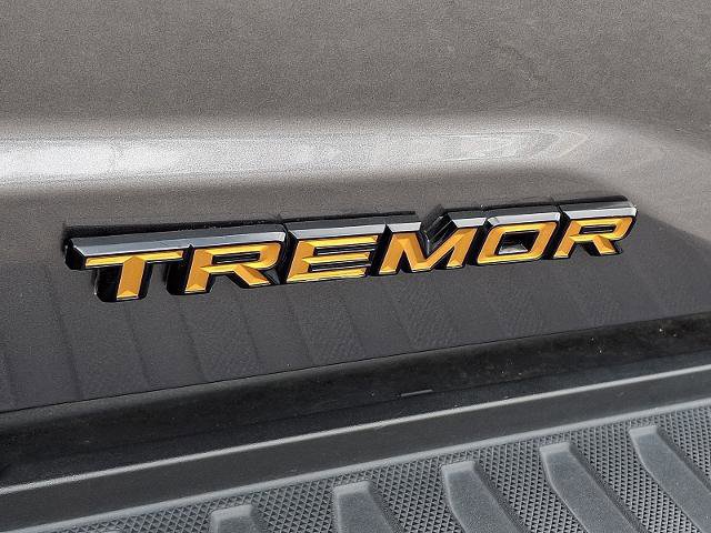 Certified 2024 Ford F150 Tremor image 28