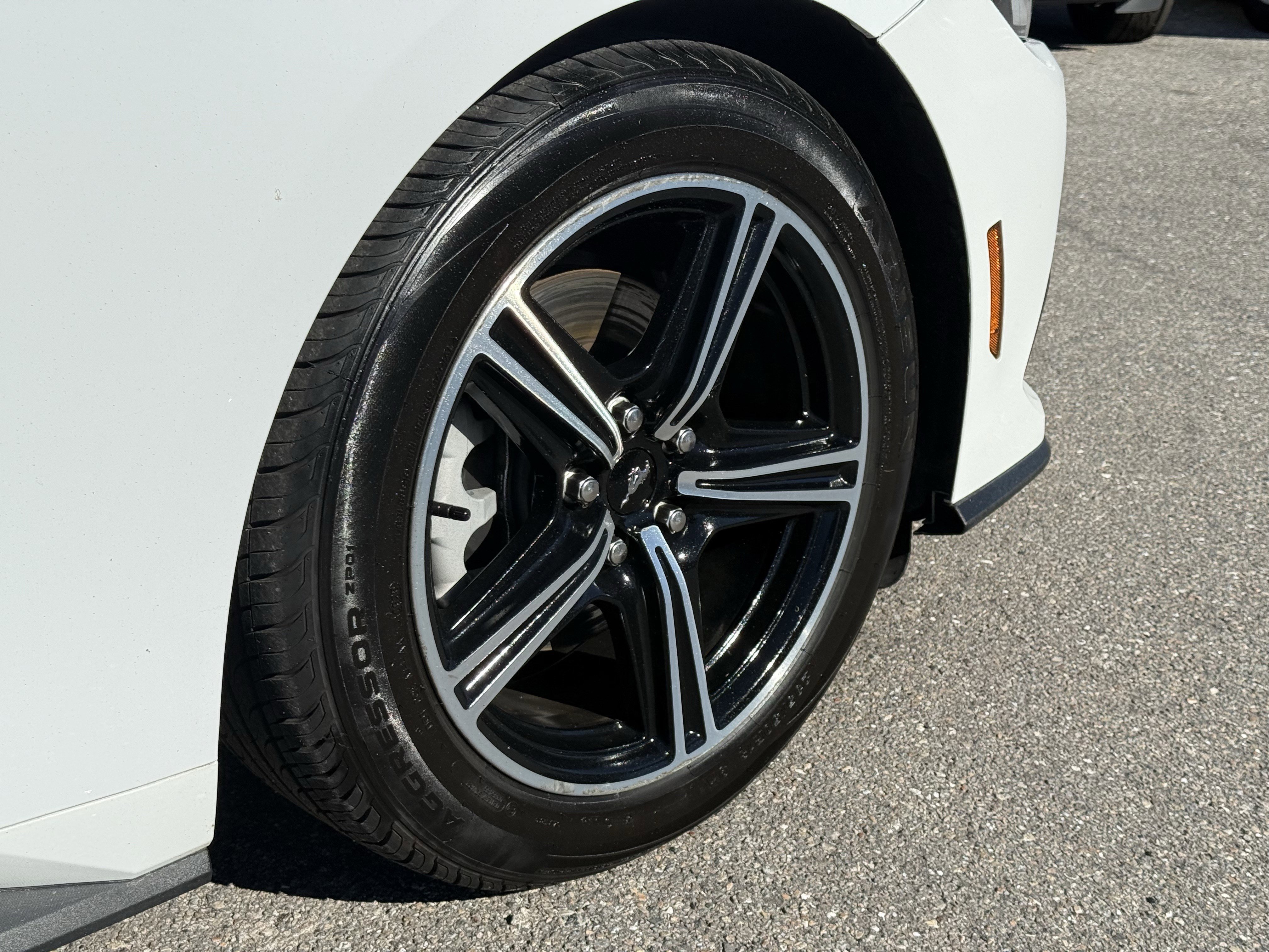 Certified 2024 Ford Mustang Premium image 12