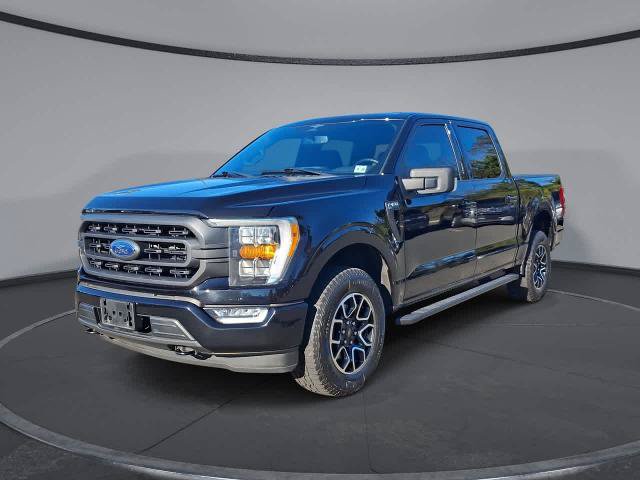 Certified 2023 Ford F150 XLT w/ Equipment Group 302A High AWD/4WD image 1