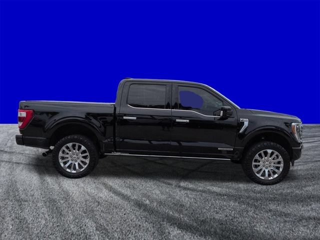 Certified 2022 Ford F150 Limited AWD/4WD image 3
