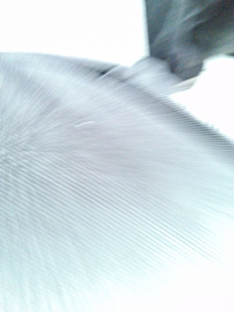 Used 2019 RAM 1500 Big Horn image 18