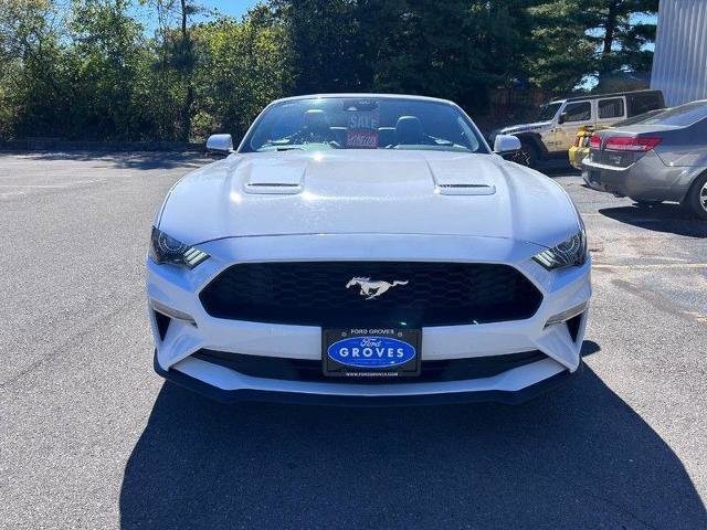 Certified 2023 Ford Mustang Premium image 12