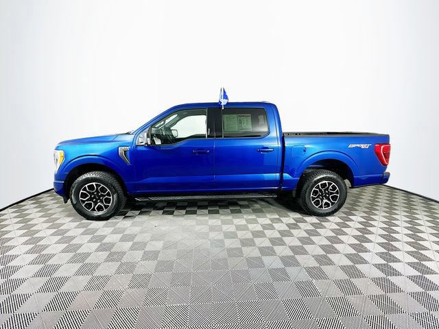 Certified 2023 Ford F150 XLT w/ Equipment Group 302A High image 2