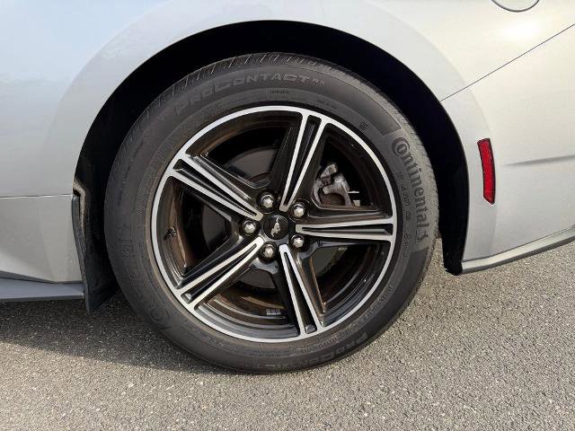 Certified 2024 Ford Mustang Premium image 14