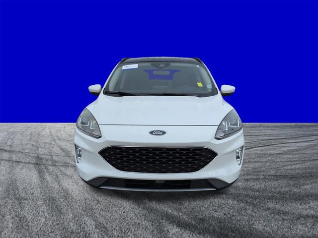 Certified 2020 Ford Escape SEL image 9