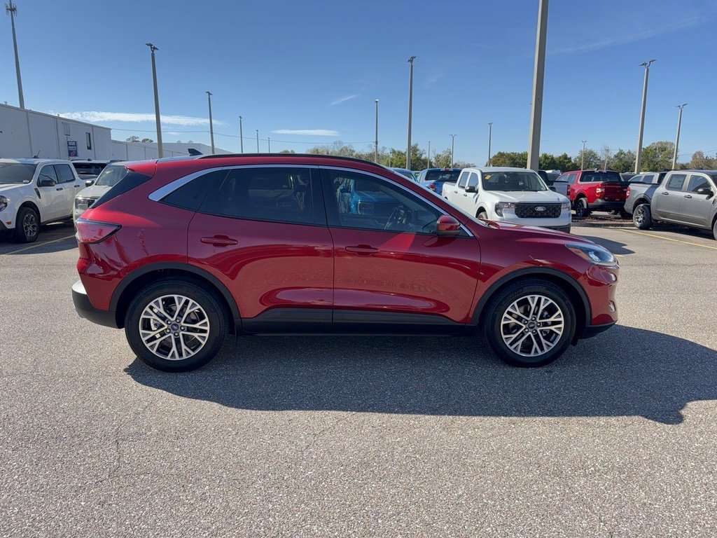 Certified 2022 Ford Escape SEL image 2