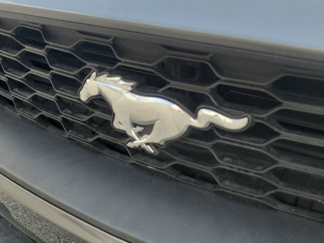 Certified 2022 Ford Mustang Coupe RWD image 6