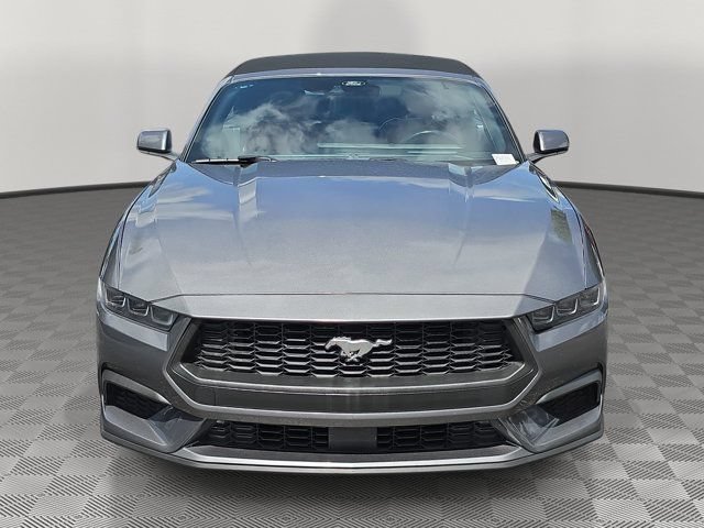 Certified 2024 Ford Mustang Premium RWD image 2