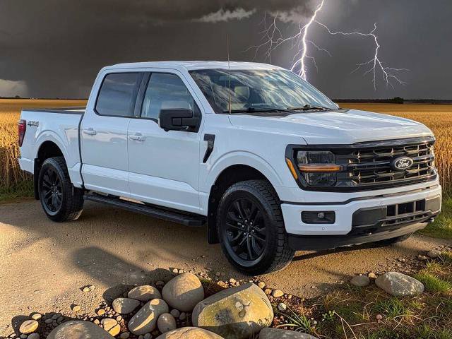 Certified 2024 Ford F150 XLT w/ Equipment Group 303A High AWD/4WD image 8