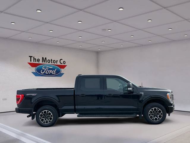 Certified 2023 Ford F150 XLT w/ Equipment Group 302A High AWD/4WD image 4