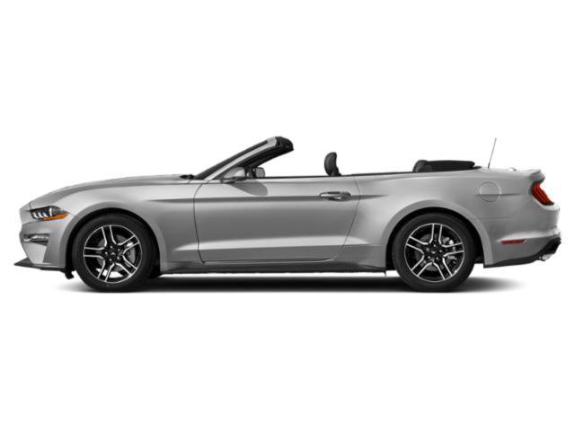 Certified 2021 Ford Mustang Premium RWD image 3