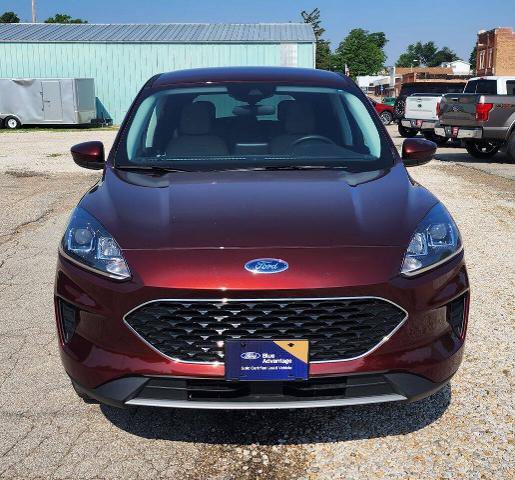 Certified 2021 Ford Escape SE AWD/4WD image 5