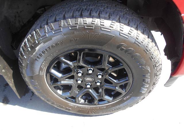 Certified 2024 Ford F150 XLT w/ Equipment Group 302A MID AWD/4WD image 13