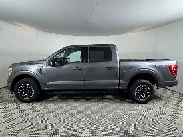 Certified 2023 Ford F150 XLT w/ Equipment Group 302A High AWD/4WD image 5