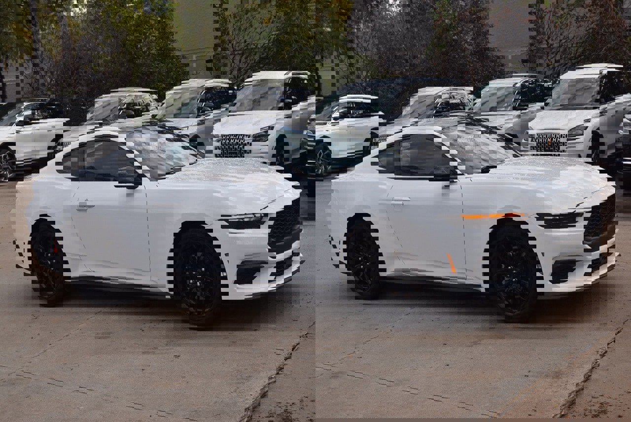 Certified 2025 Ford Mustang Premium w/ Mustang Nite Pony Package image 5