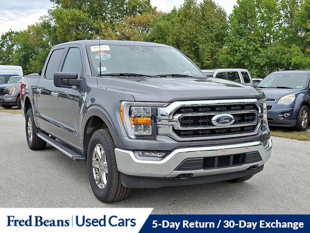 Certified 2023 Ford F150 XLT w/ Equipment Group 302A High image 2