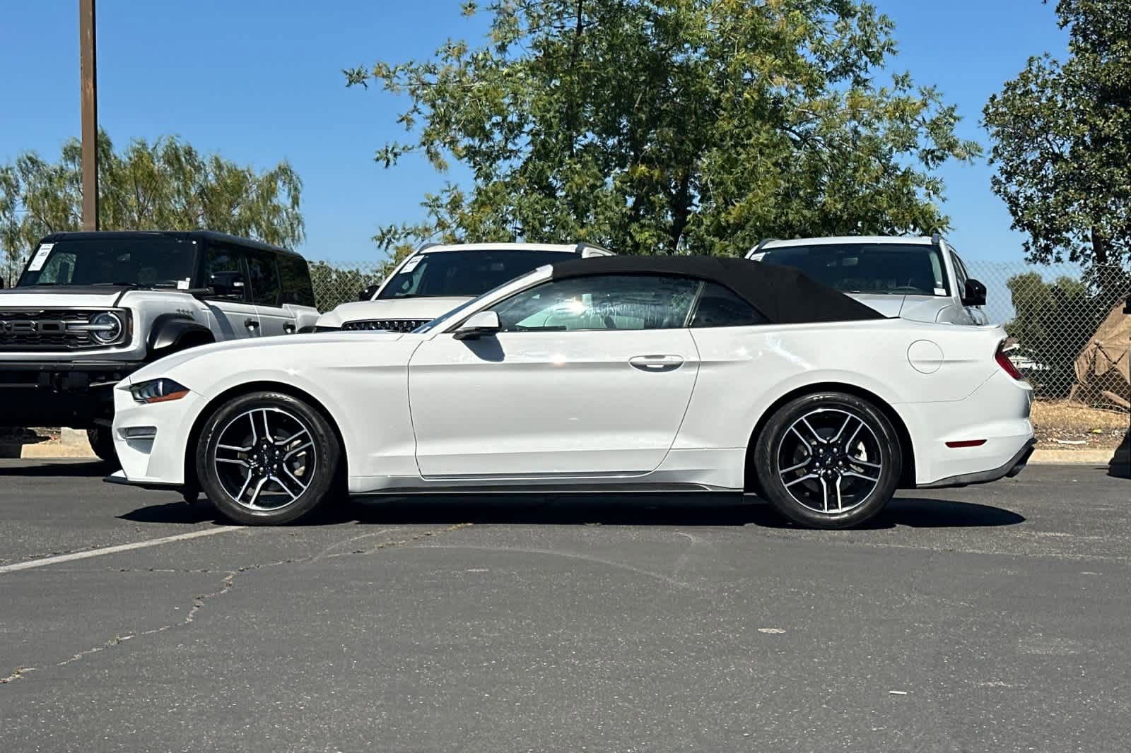 Certified 2018 Ford Mustang Premium w/ Equipment Group 201A RWD image 5