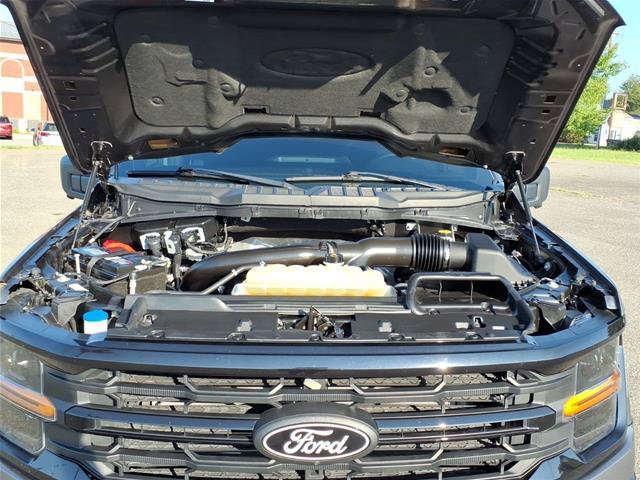 Certified 2024 Ford F150 XLT w/ Equipment Group 302A MID AWD/4WD image 31