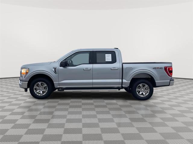 Certified 2023 Ford F150 XLT w/ Equipment Group 301A Mid image 2
