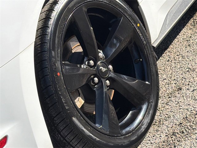 Certified 2022 Ford Mustang EcoBoost w/ Equipment Group 101A image 9